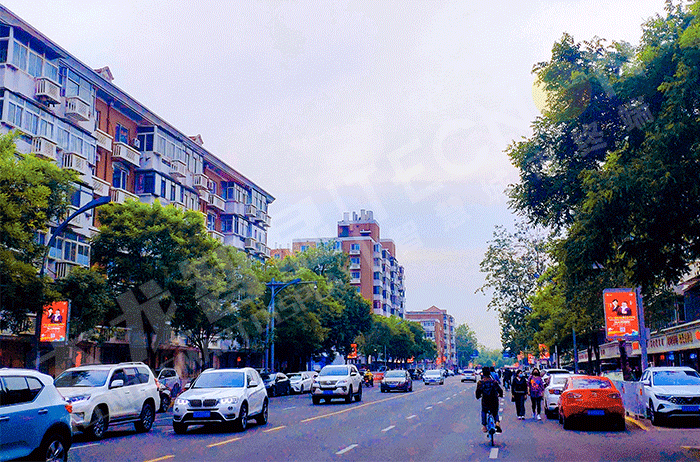 led燈桿屏 led燈桿屏