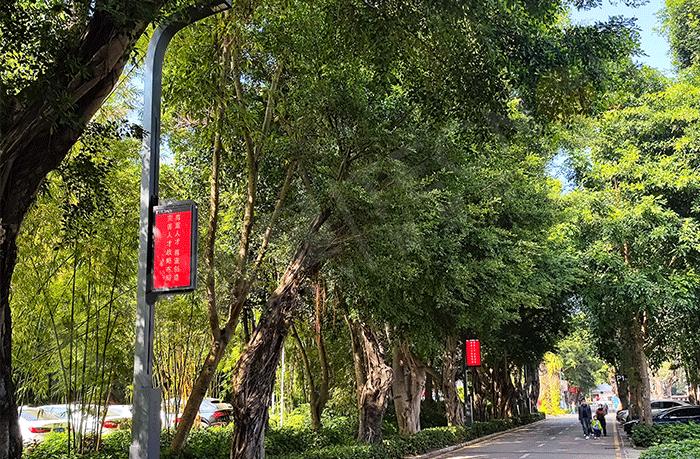 LED燈桿屏,燈桿屏 LED燈桿屏,燈桿屏